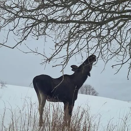 Naer Granasen Skianlegg